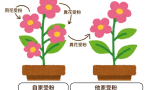 医学影像和医学影像技术的区别和联系-【医学影像和医学影像技术的区别和联系】医学影像技术和医学影像学区别在哪 - 医学影像和医学影像技术的区别网