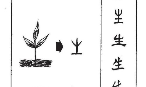 【医学影像和医学影像技术的区别和联系】医学影像技术和医学影像学区别在哪 - 医学影像和医学影像技术的区别网